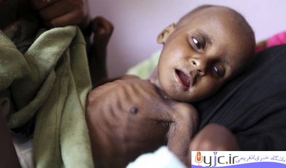 تنها شش هفته تا تمام شدن مواد غذایی در یمن باقی مانده است