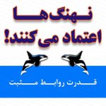 دانلود کتاب نهنگ‌ ها اعتماد می‌ کنند کلید طلایی بهبود عملکرد!