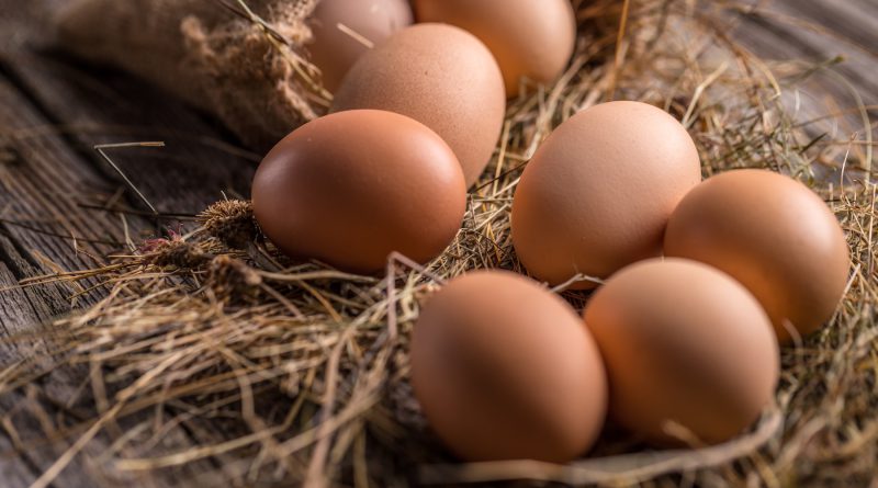 تشخیص تخم مرغ تازه از فاسد